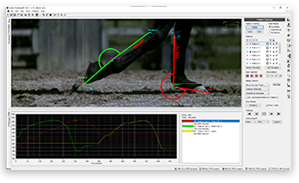 High speed motion analysis software